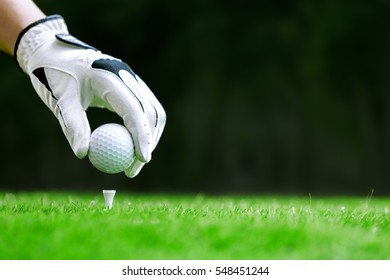 Hand putting golf ball on tee in golf course