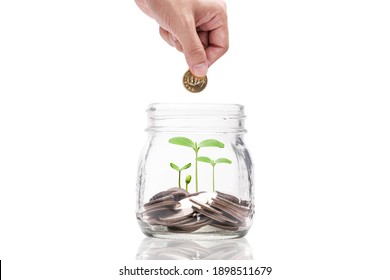 Hand Putting Money Coins To Saving Transparent Jar With Plant , Investment Profit And Money Saving Concept.