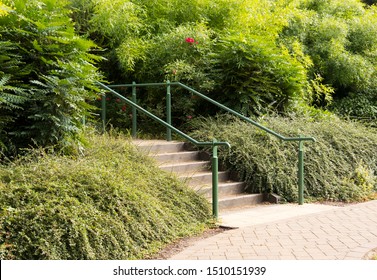 Hand Rail Steps And Shrubbery