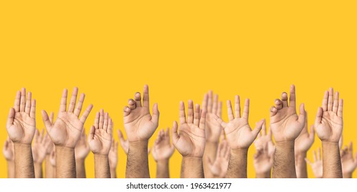 A Lot Of Hand Raised Up To The Air Isolated Yellow Background. Raise Your Hand To Vote For The Majority Of Votes Election Of The Leader Of The Country.