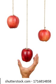 Hand reach to grab the hanging apple isolated on white background. Low hanging fruit concept. Clipping path. - Shutterstock ID 1716814858