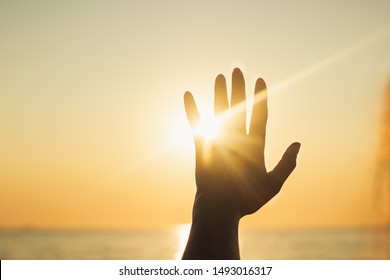 the hand reaches for the sky and closes the sun, the sun's rays pass through the hand, close-up