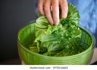 WomanÕs hand reaching for lettuce from salad spinner 