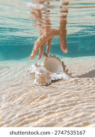 Hand reaching for murex shell underwater on rippled sandy seabed in clear turquoise sea. Bright natural light with split level reflections, ideal for summer travel ads, marine lifestyle branding, and