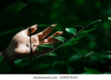 Hand reaching out into sunlit greenery  - Powered by Shutterstock