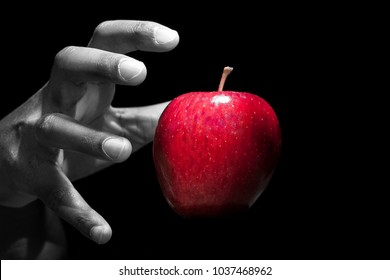 Hand Reaching For A Red Apple, The Forbidden Fruit, In Black Background.