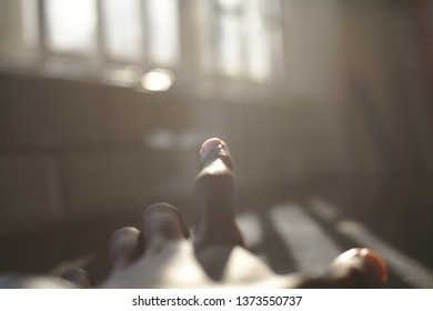 Hand Reaching for Sun's Rays