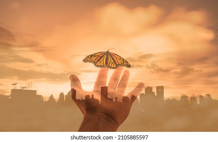 Hand Releasing A Butterfly In The City. Freedom, And Hope Concept. 