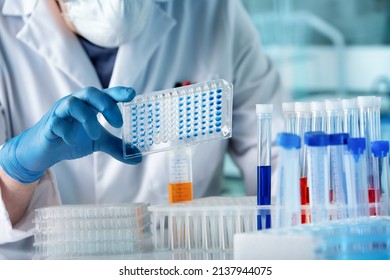 hand of researcher working with microplate for elisa analysis. Doctor working with panel microplate for diseases diagnostic in the laboratory