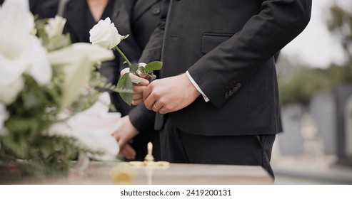 Hand, rose and a person at a funeral in a graveyard in grief while mourning loss at a memorial service. Death, flower and an adult in a suit at a cemetery with a coffin for an outdoor burial closeup