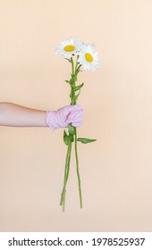 a hand in a rubber glove holds a bouquet of flowers on a light background - Shutterstock ID 1978525937