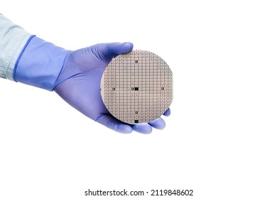 A Hand In A Rubber Glove Holds A Multilayer Semiconductor Silicon Wafer With A Microcircuit Chip Of A Powerful Darlington Transistor Isolated On A White Background.