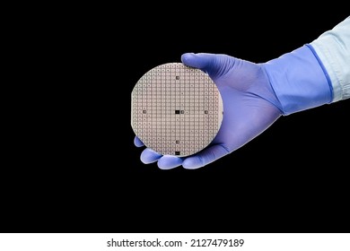 A Hand In A Rubber Glove Holds A Multilayer Semiconductor Silicon Wafer With A Microcircuit Chip Of A Powerful Darlington Transistor Isolated On A Black Background.