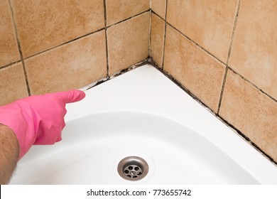 Hand in rubber protective glove pointing to the mold in the shower cabin corner. Problems and solutions concept.