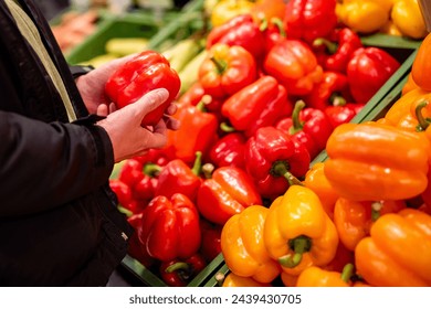 hand selecting a fresh red bell pepper from a display of colorful peppers at a market. The vibrant peppers are arranged in green trays, and other produce is visible in the background. - Powered by Shutterstock