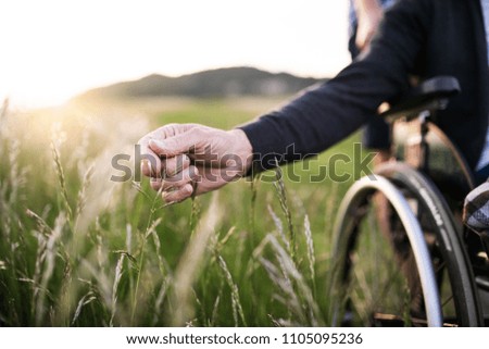 Similar – Image, Stock Photo Close-up of an old wooden brush for shoes or clothes.