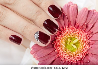 4,764 Short red nails Images, Stock Photos & Vectors | Shutterstock