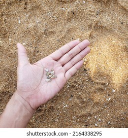 Hand Showing Small Stone Over The Brown Sand