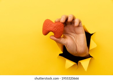 Hand showing a thyroid out of a hole torn in yellow paper wall. Health care, pharmaceutics and medicine advertisement