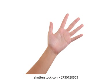 Hand shown five finger symbol on isolated white background
