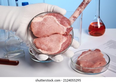 Hand shows meat in a Petri dish. Hand takes sample of GMO meat. Fake meat in a Petri glass dish. Labs photo of biotechnology research. Analysis of lab growing meat culture. Artificial cultured food.