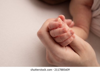 The Hand Of A Sleeping Newborn In The Hand Of Mother And Father Close-up. Tiny Fingers Of A Newborn. The Family Is Holding Hands. Studio Macro Photography. Concepts Of Family And Love.