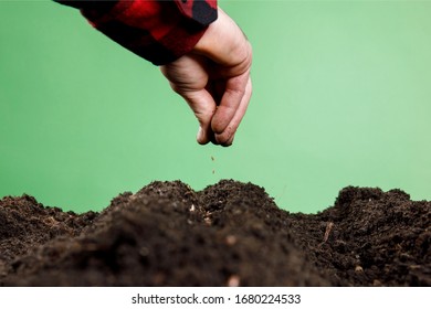 Hand Sowing A Seeds Of Vegetable On Healthy Soil At Garden , Agriculture Concept.