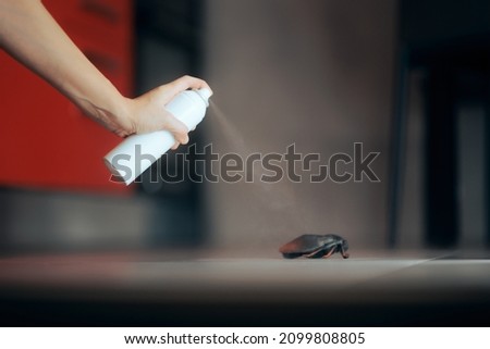 
Hand Spraying Insecticide Over a Cockroach in the Kitchen. Homeowner dealing with pest infestation using chemical solution to exterminate insects
