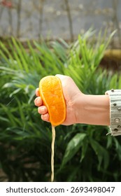 Hand squeezing fresh orange slice with juice dripping down against green tropical plant background, perfect for healthy lifestyle and natural nutrition concepts