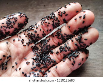 Real Trypophobia / Trypophobia Why Holes Are So Scary Youtube ...