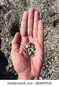 Hand stone