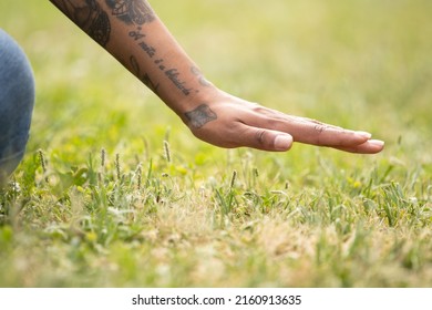 hand stroking the grass in summer