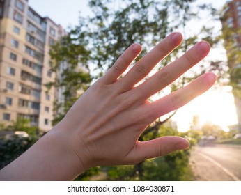 Hand in sunset