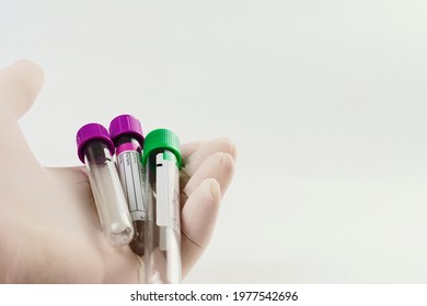 Hand with surgical glove holding vacuum tubes for collection and blood samples on white background. Transparent tubes with purple and green lid and label to identify the data. Selective focus.