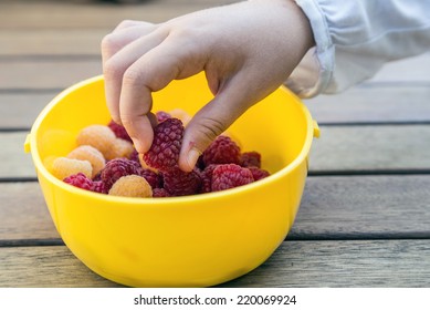 hand taking berries 