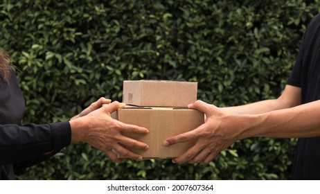Woman’s hand taking blank recycled paper cardboard box shopping from man with outdoor green leaves nature garden background. Delivery boxes mockup for branding design concept