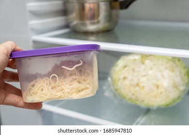 A Hand Taking Plastic Container With Leftovers From A Fridge.