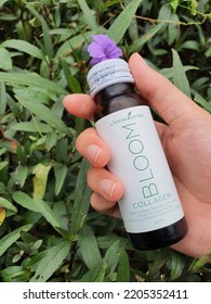 Hand Tanned Skin Holds BLOOM Collagen Essential Oils By Young Living. Outdoor Garden Background. Certified Halal By The Taiwan Halal Integrity Development Association (THIDA). Malaysia. September 2022