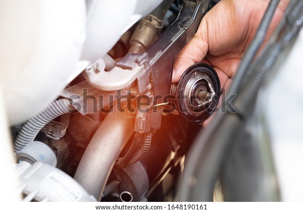 Hand a technician\
take of Car thermostat in engine room and check water heating of\
car for maintenance concept\
