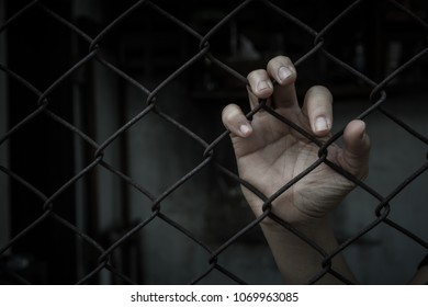 The hand that holds the steel cage with hope.Expectations and waits for freedom. Liberty Conception. Copy space.