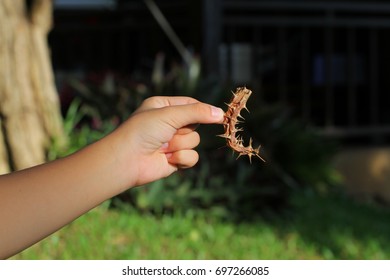 hand with thorn