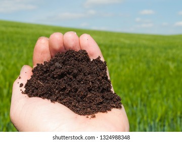 Hand With Topsoil In Front Of A Field