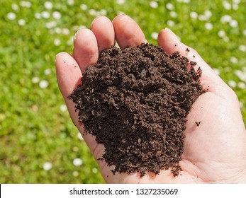 Hand With Topsoil In Front Of A Field