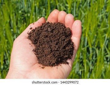 Hand With Topsoil In Front Of A Field