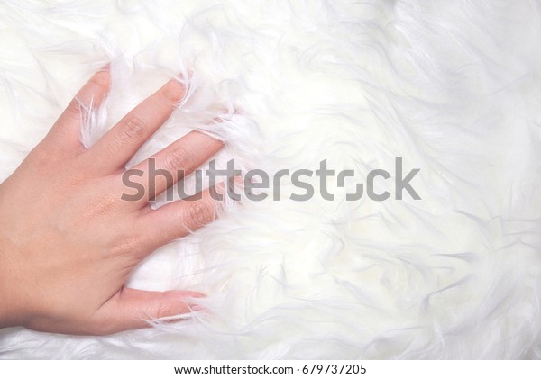 the touch of fur