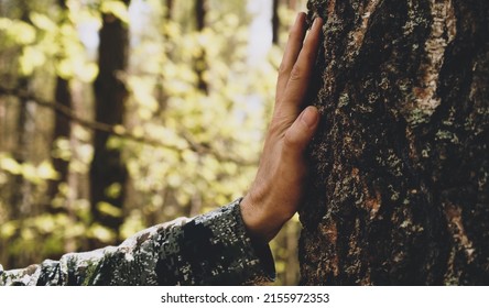 Hand touch the tree trunk. Man hand touches a pine tree trunk, close-up. Human hand touches a tree trunk. Bark wood. Wild forest travel. Ecology - a energy forest nature concept.	 - Shutterstock ID 2155972353