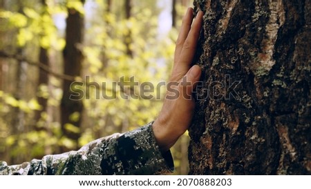 Hand touch the tree trunk. Man hand touches a pine tree trunk, close-up. Human hand touches a tree trunk. Bark wood. Wild forest travel. Ecology - a energy forest nature concept.	