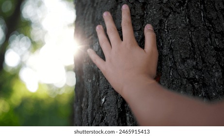 hand touches a tree in a forest park. travel nature protection adventure concept. child's hand strokes a tree in a green forest lifestyle - Powered by Shutterstock