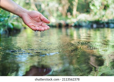 hand touches  water in the pond - Shutterstock ID 2113562378