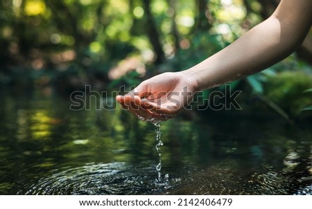 hand touches water in the pond